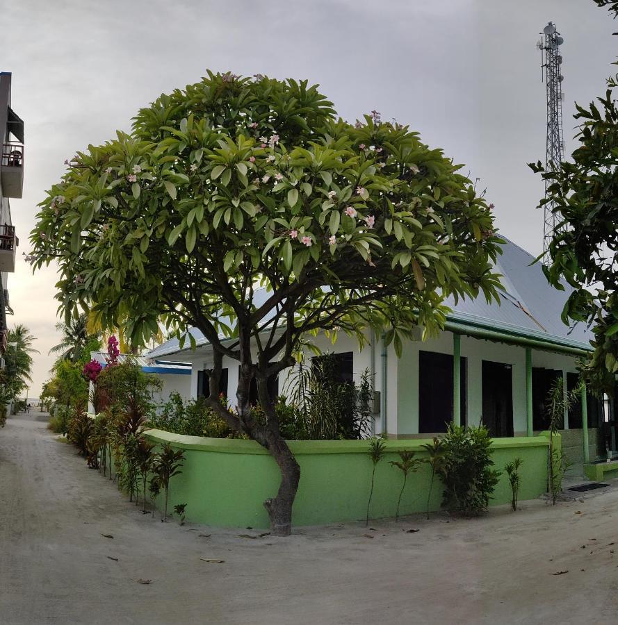 ホテル La Isla Tropica グライドゥ エクステリア 写真