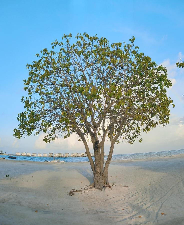 ホテル La Isla Tropica グライドゥ エクステリア 写真