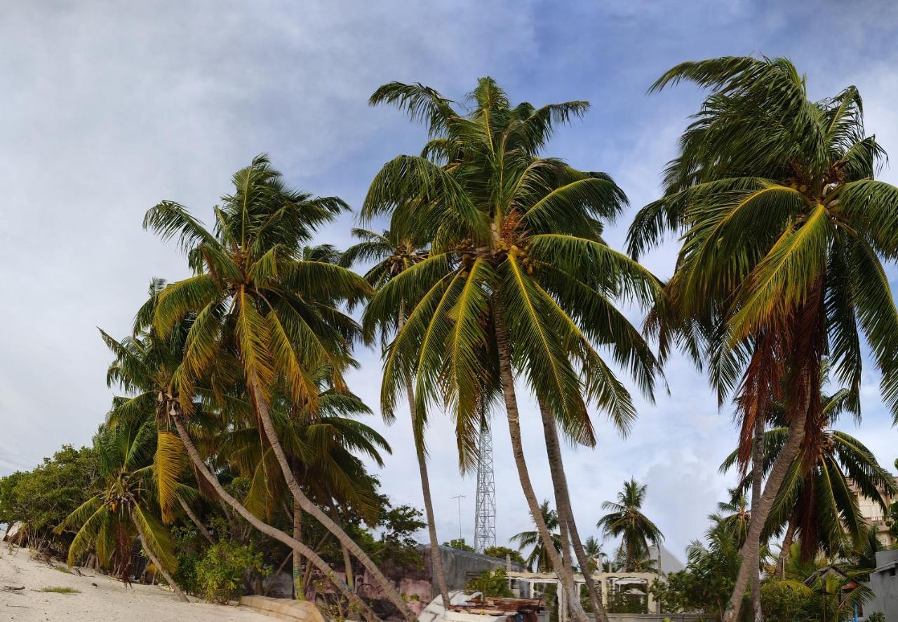 ホテル La Isla Tropica グライドゥ エクステリア 写真