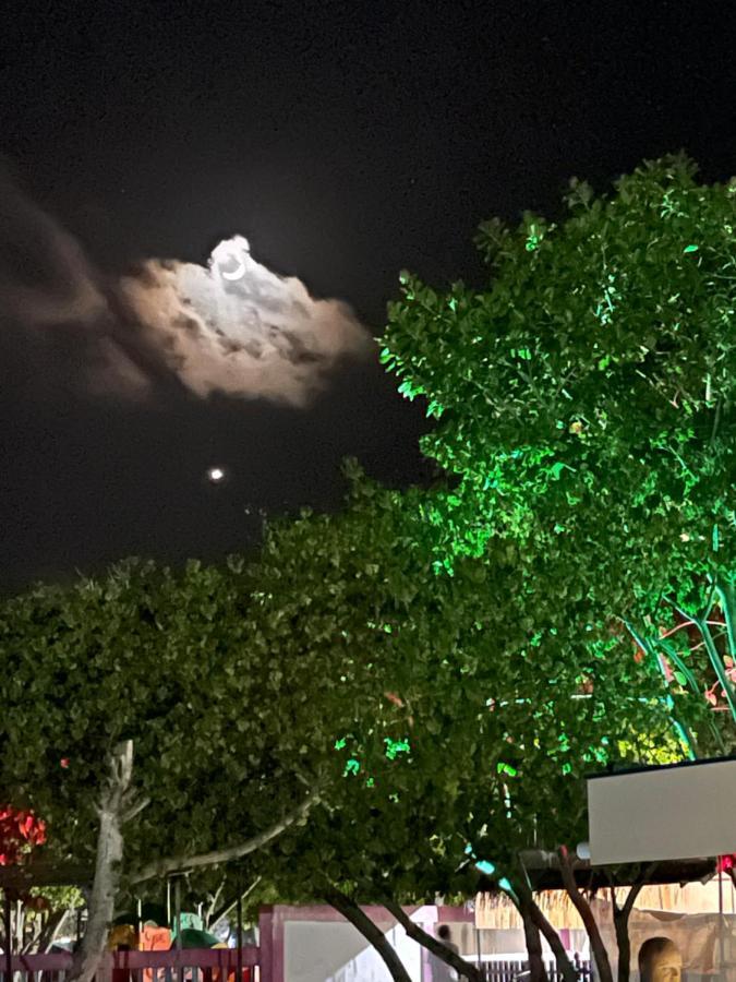 ホテル La Isla Tropica グライドゥ エクステリア 写真