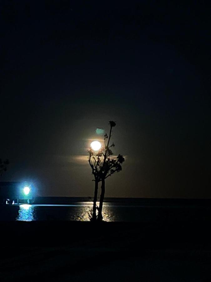 ホテル La Isla Tropica グライドゥ エクステリア 写真