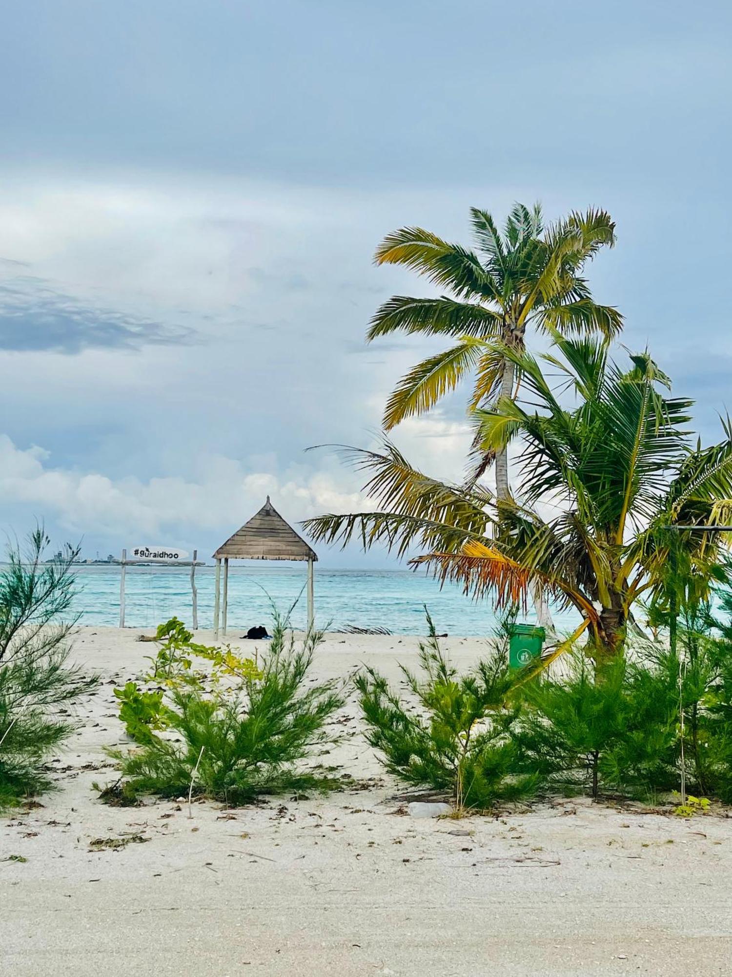 ホテル La Isla Tropica グライドゥ エクステリア 写真