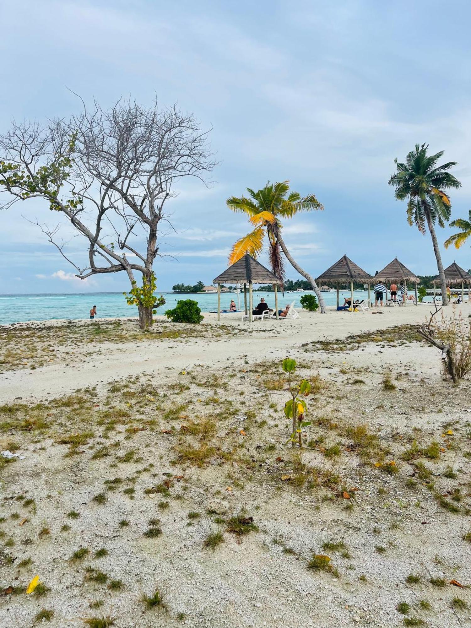 ホテル La Isla Tropica グライドゥ エクステリア 写真